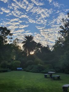 Beautiful Sunsets