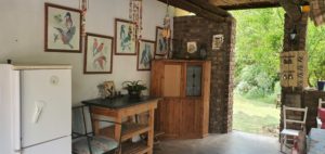 Stoep and braai area